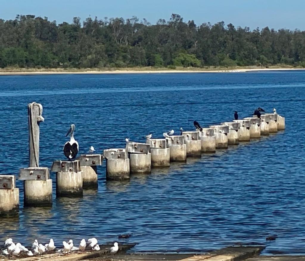 Sandbar Motel Lakes Entrance Exterior photo